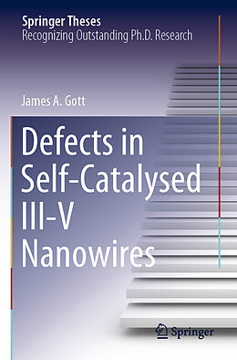 Couverture cartonnée Defects in Self-Catalysed III-V Nanowires de James A. Gott