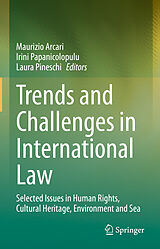 E-Book (pdf) Trends and Challenges in International Law von 