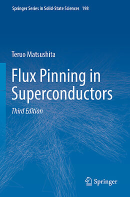 Kartonierter Einband Flux Pinning in Superconductors von Teruo Matsushita