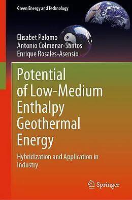E-Book (pdf) Potential of Low-Medium Enthalpy Geothermal Energy von Elisabet Palomo, Antonio Colmenar-Santos, Enrique Rosales-Asensio
