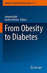 eBook (pdf) From Obesity to Diabetes de 
