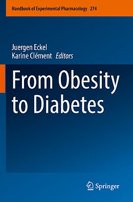 Couverture cartonnée From Obesity to Diabetes de 