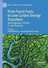 E-Book (pdf) From Fossil Fuels to Low Carbon Energy Transition von 