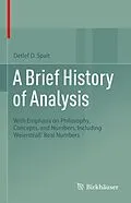 E-Book (pdf) A Brief History of Analysis von Detlef D. Spalt