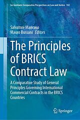 eBook (pdf) The Principles of BRICS Contract Law de 