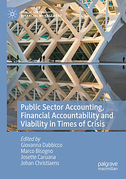 Kartonierter Einband Public Sector Accounting, Financial Accountability and Viability in Times of Crisis von 
