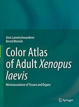 eBook (pdf) Color Atlas of Adult Xenopus laevis de Alois Lametschwandtner, Bernd Minnich