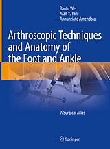 eBook (pdf) Arthroscopic Techniques and Anatomy of the Foot and Ankle de Baofu Wei, Alan Y. Yan, Annunziato Amendola