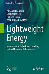 E-Book (pdf) Lightweight Energy von 
