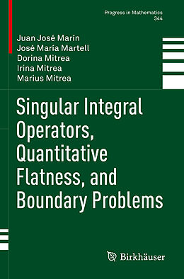 Kartonierter Einband Singular Integral Operators, Quantitative Flatness, and Boundary Problems von Juan José Marín, José María Martell, Marius Mitrea