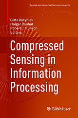 E-Book (pdf) Compressed Sensing in Information Processing von 