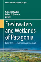 E-Book (pdf) Freshwaters and Wetlands of Patagonia von 