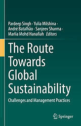 E-Book (pdf) The Route Towards Global Sustainability von 