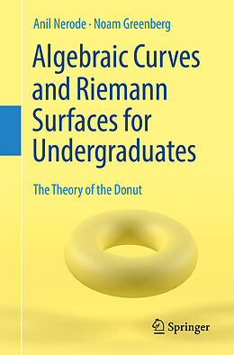 Couverture cartonnée Algebraic Curves and Riemann Surfaces for Undergraduates de Noam Greenberg, Anil Nerode