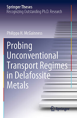 Kartonierter Einband Probing Unconventional Transport Regimes in Delafossite Metals von Philippa H. McGuinness