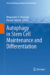 eBook (pdf) Autophagy in Stem Cell Maintenance and Differentiation de 