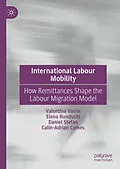 E-Book (pdf) International Labour Mobility von Valentina Vasile, Elena Bunduchi, Daniel Stefan