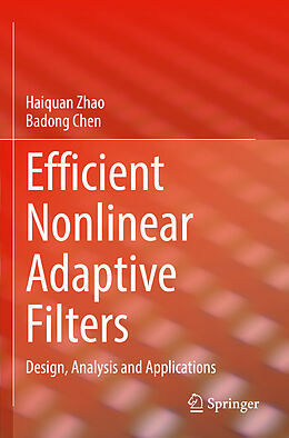 Couverture cartonnée Efficient Nonlinear Adaptive Filters de Badong Chen, Haiquan Zhao