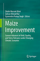 eBook (pdf) Maize Improvement de 