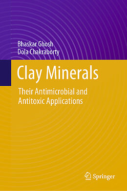 Fester Einband Clay Minerals von Dola Chakraborty, Bhaskar Ghosh