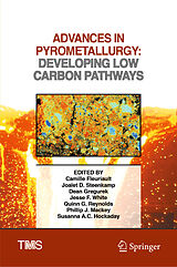 eBook (pdf) Advances in Pyrometallurgy de 