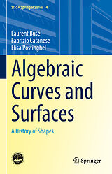 E-Book (pdf) Algebraic Curves and Surfaces von Laurent Busé, Fabrizio Catanese, Elisa Postinghel