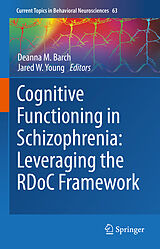 eBook (pdf) Cognitive Functioning in Schizophrenia: Leveraging the RDoC Framework de 