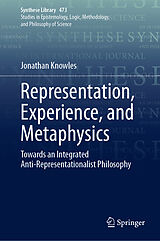 eBook (pdf) Representation, Experience, and Metaphysics de Jonathan Knowles