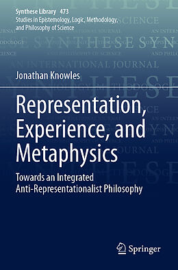 Couverture cartonnée Representation, Experience, and Metaphysics de Jonathan Knowles