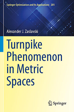 Kartonierter Einband Turnpike Phenomenon in Metric Spaces von Alexander J. Zaslavski