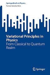 E-Book (pdf) Variational Principles in Physics von Tamás Sándor Biró