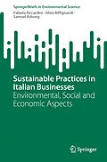 E-Book (pdf) Sustainable Practices in Italian Businesses von Fabiola Riccardini, Silvia Biffignandi, Samuel Ashong