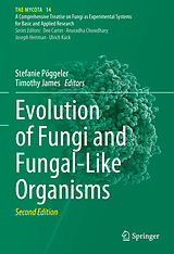 E-Book (pdf) Evolution of Fungi and Fungal-Like Organisms von 