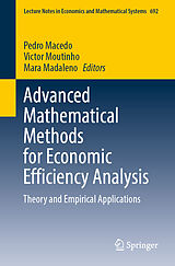 eBook (pdf) Advanced Mathematical Methods for Economic Efficiency Analysis de 