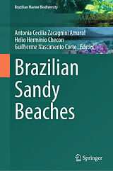 eBook (pdf) Brazilian Sandy Beaches de 