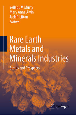 E-Book (pdf) Rare Earth Metals and Minerals Industries von 