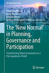 eBook (pdf) The 'New Normal' in Planning, Governance and Participation de 