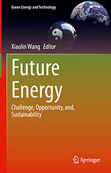 eBook (pdf) Future Energy de 