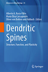 E-Book (pdf) Dendritic Spines von 