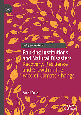 Couverture cartonnée Banking Institutions and Natural Disasters de Andi Duqi