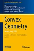 E-Book (pdf) Convex Geometry von Shiri Artstein-Avidan, Gabriele Bianchi, Andrea Colesanti