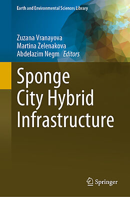 E-Book (pdf) Sponge City Hybrid Infrastructure von 
