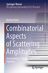 eBook (pdf) Combinatorial Aspects of Scattering Amplitudes de Matteo Parisi