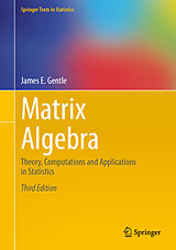 eBook (pdf) Matrix Algebra de James E. Gentle
