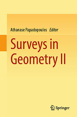 Couverture cartonnée Surveys in Geometry II de 