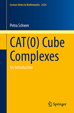 Couverture cartonnée CAT(0) Cube Complexes de Petra Schwer