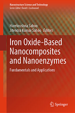 Livre Relié Iron Oxide-Based Nanocomposites and Nanoenzymes de 