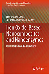 eBook (pdf) Iron Oxide-Based Nanocomposites and Nanoenzymes de 