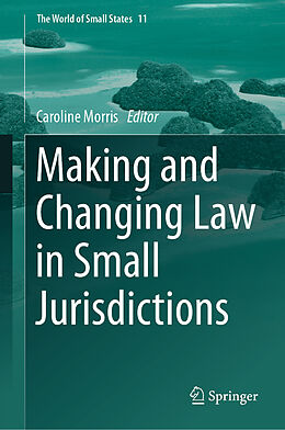 Livre Relié Making and Changing Law in Small Jurisdictions de 