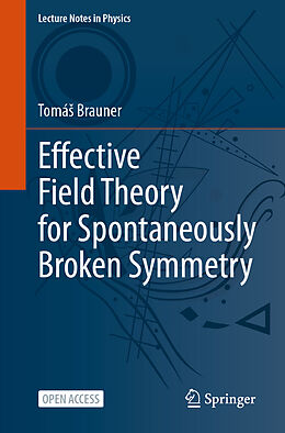 Kartonierter Einband Effective Field Theory for Spontaneously Broken Symmetry von Tomá  Brauner